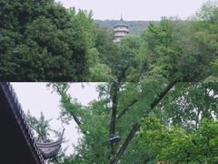 -灵谷景区