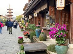 -品渔味湖鲜馆(拈花湾店)