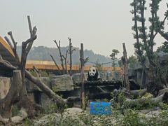 -宁波野生动物园