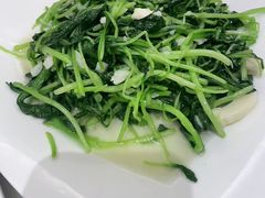 -华盛丰温州大排档(东三环南路店)