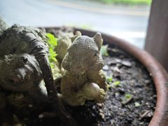 -深圳仙湖植物园