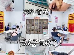 -派美特宠物医院·核磁CT·骨科肿瘤·疑难转诊(沈农禾丰店)