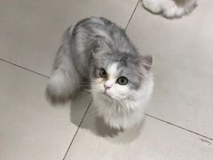 -怪兽屋·羊驼·猫咖·狗咖(俊华广场店)