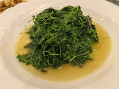 -孔庆璞河豚馆(白玉兰酒店)