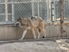 -石家庄市动物园