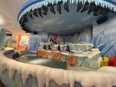 -帝企鹅自助餐厅•儿童岛•真企鹅(长隆企鹅酒店)