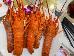 清蒸小青龙-四海之家(蛇口店)