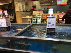 水产区-盒马鲜生(红莲店)