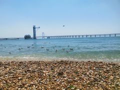 -星海湾跨海大桥