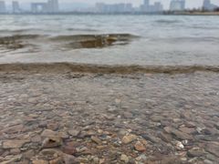 -长广溪湿地公园