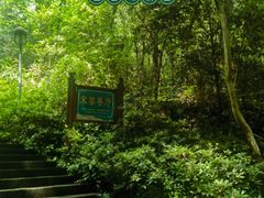 -宋宴(虎跑店)