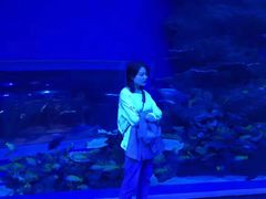 -成都浩海立方海洋公园