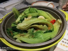 XO酱生菜啫啫煲-皇后餐厅-煲仔·小菜·打边炉(古北店)