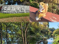 -云溪植物园