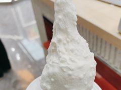 -野人先生现做冰淇淋(西安赛格店)