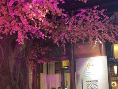 -韵秋荷(宝山龙湖天街店)