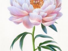 -八哥美术·成人美术画室(总校区)