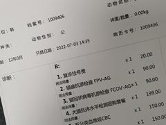 -申普宠物医院·心脏介入·心血管微创(总院)