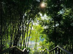 -云溪植物园