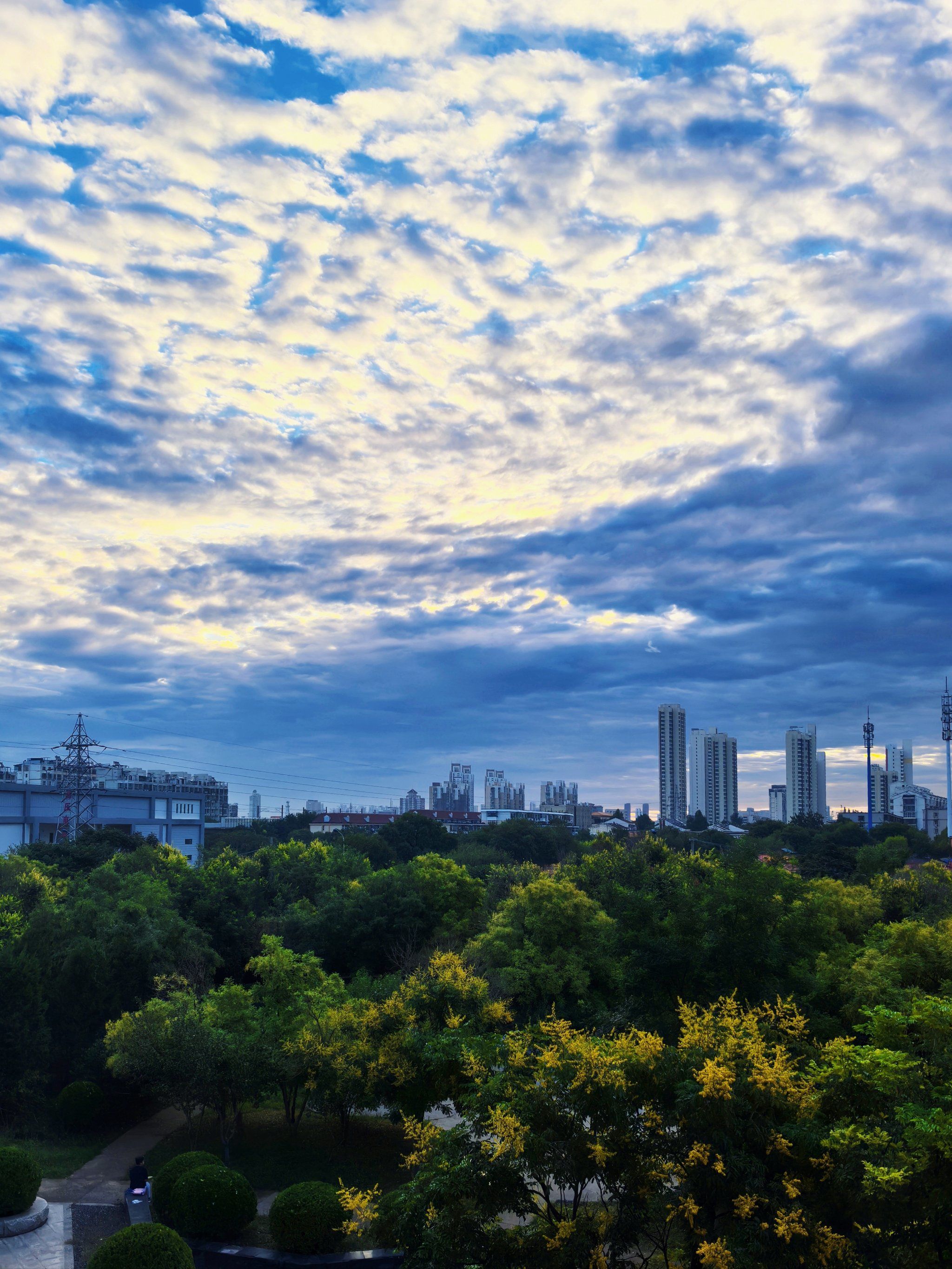 今天的清晨,天空美的像漫画里一样