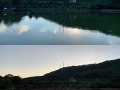-梧桐庄园