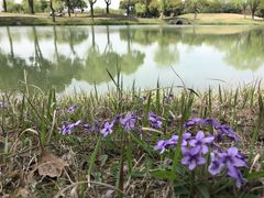 -旭宝高尔夫俱乐部