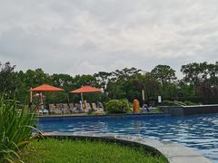 -上海佘山世茂艾美酒店