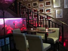 -Judy's  spot