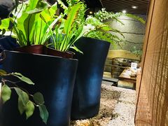 -小城粥道·海胆鲜虾粥(解放广场店)