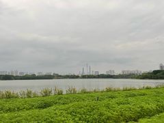 -海珠湖公园