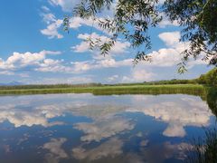 -野鸭湖国家湿地公园