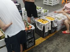 -西郊国际农产品交易中心