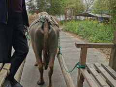 -杭州双溪漂流景区