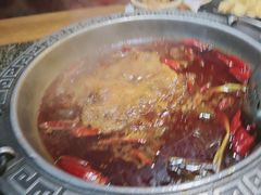 -杨肥肠火锅大排档(火车站花园店)