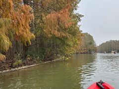 -上海海湾国家森林公园