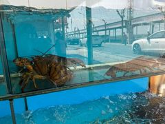 -崖口红树林海鲜餐厅