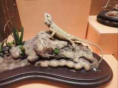 -天津自然博物馆