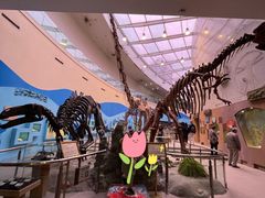 -陕西自然博物馆