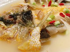 米汤浸东海大黄鱼-炳胜品味(海印总店)