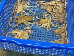 -渔傅·霞浦滩涂海鲜(建平店)