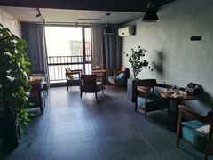 -梵猫·新养生(湛江鼎盛店)