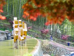-宁波浙东大竹海景区