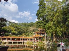 -深圳仙湖植物园