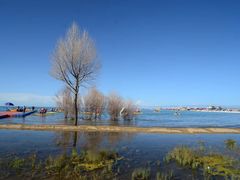 -青海湖国家重点风景名胜区