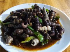 豉汁紫苏炒丁螺-美食店(华贵路店)
