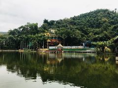-西双版纳原始森林公园