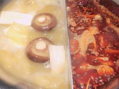 台式麻辣花胶鸡鸳鸯锅-湊湊火锅·茶憩(世博大道店)