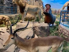 -陕西自然博物馆