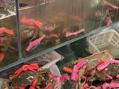 -辣螃铠盆盆蟹大排档(总店)