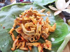 -中国天府农业博览园